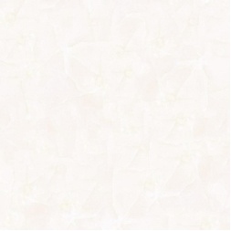 سرامیک طرح سیلور کرم ابعاد-60*60-کاشی گلچین میبد-Ceramic Silver Golchin Tile