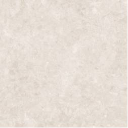 tricer_gray