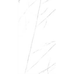 viyra60120