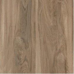 سرامیک طرح 8476 ابعاد-60*60-سرامیک مرجان- Ceramic 8476 Marjan Tile