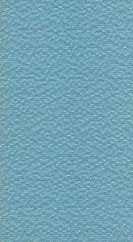 blue_2007079698