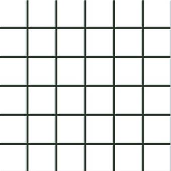 dg-white-1