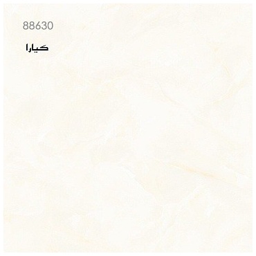 446703343_456136