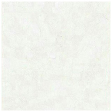 8117_-_copy