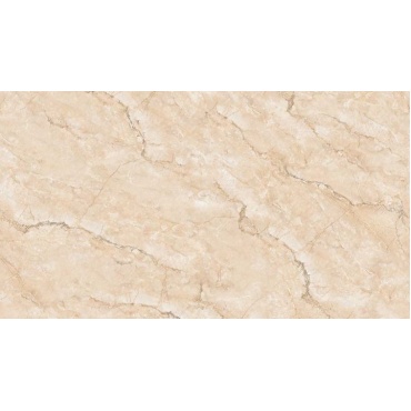 armando-cream-f2-800x400
