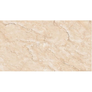 armando-cream-f3-800x400