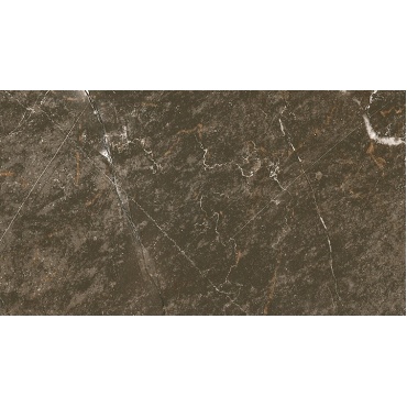 سرامیک طرح بارن قهوه ای تیره ابعاد-120*60-روکا سرام-Ceramic Baron Rokaceram