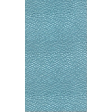 blue_2007079698