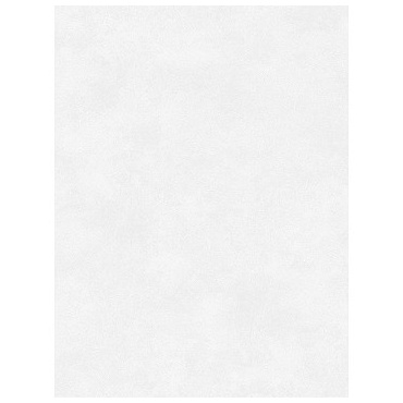 concept-light-gray2