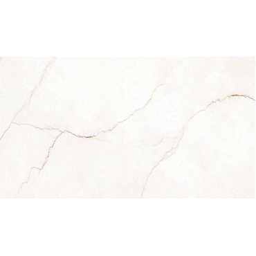 سرامیک طرح دلوین ابعاد-160*80-کاشی پارس-Ceramic Delvin Pars Tile