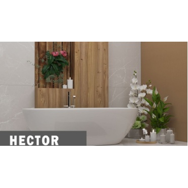 سرامیک طرح هکتور ابعاد-160*80-کاشی نایین-Ceramic Hector Naeen Tile