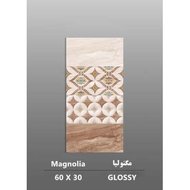 سرامیک طرح مگنولیا ابعاد-60*30-داریوش سرام کویر-Ceramic Magnolia Dariush Ceram Kavir
