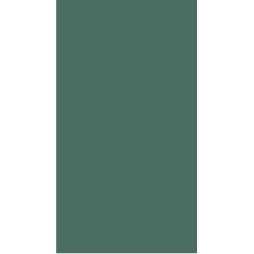 سرامیک طرح مونوکالر سبز ابعاد-160*80-کاشی فخار- Ceramic Monocolor Fakhar Tile