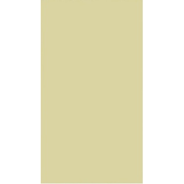 monocolor_zard
