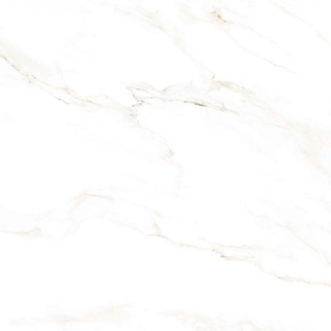 سرامیک طرح فونیکس ابعاد-80*80-کاشی پارس-Ceramic Phoenix Pars Tile