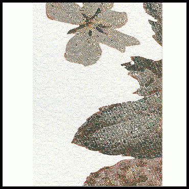 qqd-284-d-mat