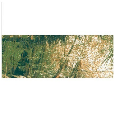 qqd-310c