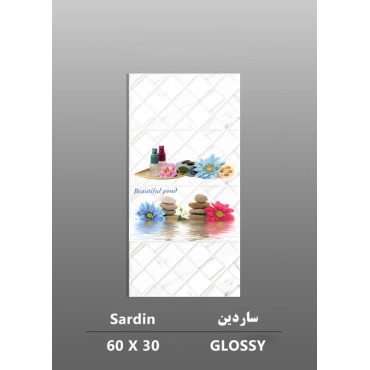 سرامیک طرح ساردین ابعاد-60*30-داریوش سرام کویر-Ceramic Sardin Dariush Ceram Kavir