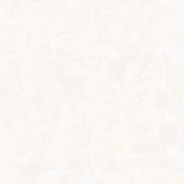 سرامیک طرح سیلور کرم ابعاد-60*60-کاشی گلچین میبد-Ceramic Silver Golchin Tile