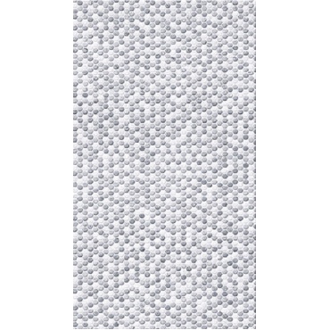 white_246503762