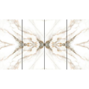zebraa_for_mach