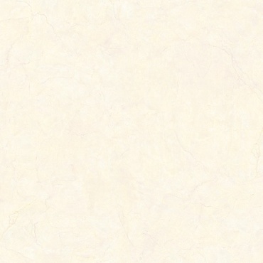 سرامیک طرح سدار ابعاد-80*80-کاشی صبا-Ceramic Cedar Saba Tile