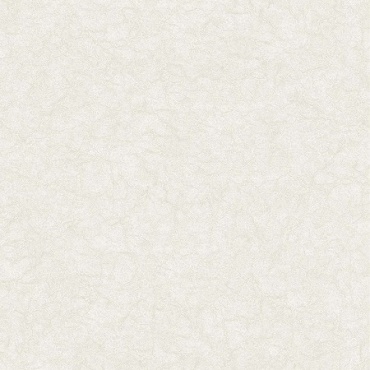 سرامیک طرح چیمن A4 ابعاد 60*60-سرامیک ایفا سرام-Ceramic Chemen A4 Eefaceram