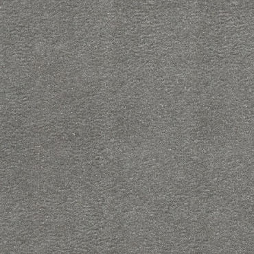 fuji-gray-2