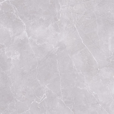lotus_light_grey_1164697413