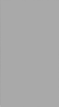monocolor_gray_1