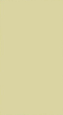 monocolor_zard