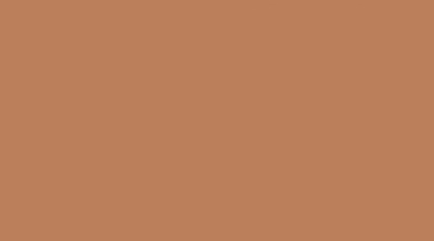 سرامیک طرح مونوکالر شکلاتی روشن ابعاد-120*60-کاشی گلدیس- Ceramic Monocolor Goldis Tile