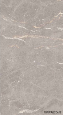 سرامیک طرح تورین طوسی روشن ابعاد-120*60-سرامیک روکا سرام- Ceramic Turin Roka Ceram